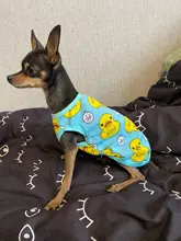 Camiseta de malla para gatos y cachorros, ropa bonita para mascotas, camiseta de dibujos animados de pato, chalecos informales para XS-XXL pequeñas