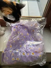 Las mujeres vestido de dibujo de Margarita verano Sexy de encaje vestido de malla de la correa de espagueti vestido Floral Vestidos estilo coreano vestido largo