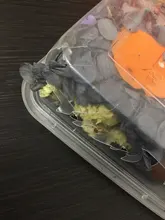 1 caja de hojas de flores prensadas reales, resina de margaritas secas, calcomanías de belleza para uñas, moldes de epoxi, embellecedores para fabricación de joyas