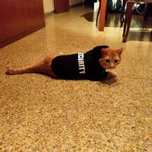 Cat Clothes Pet Cat Coats Jacket Hoodies For Cats Outfit Warm Pet Clothing Rabbit Animals