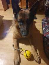 Fetch Rubber-Ball Training Bite Chew Toy Rope-Bite-Resistant Play Indestructible Solid