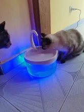Fuente de Gato de 2L con luz azul, dispensador de agua automático alimentado por USB, alimentador de gatos, filtro de bebida para gatos y perros, proveedor de mascotas