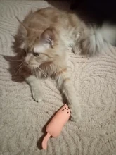 Cat-Toy Claws Pet-Supplies Plush-Toys Interactive-Tools Mint-Scratcher Catnip Teeth-Grinding