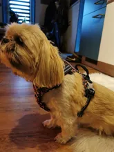 Truelove-arnés Floral sin tirones para mascotas, tela de algodón transpirable y reflectante, suave, para gatos y perros pequeños y medianos, para caminar y correr, TLH5655