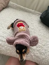 Puppy Clothing Dogs-Coat Dog-Costume French-Bulldog Pug Soft Winter Flannel for Bear-Ear