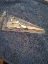 Tijeras profesionales de acero inoxidable para peluquería, herramienta para el cuidado del cabello, TLS Tls, 1 Uds.