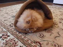 Dog-Bed House Products Pets-Cushion Slippers-Style Winter Cat Soft for High-Quality Pet-Dog