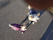 Pet-Dog-Jacket Harness Bulldog-Outfits Labrador Warm French Chihuahua Waterproof Large