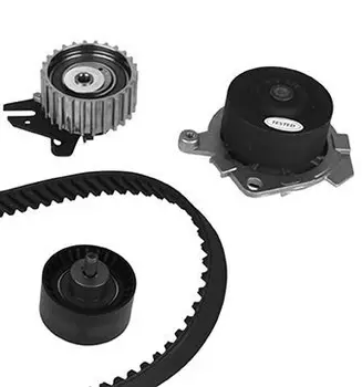 

Rem. set kit with pump \ Alfa Romeo 145/146/147/156/1.4/1.6i 97-10 METELLI 30 -0621-2