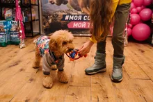 Jacket Costume Coat Bulldog-Clothes Small Dog Pug French Winter Pet-Dog Warm Cute 