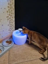 2.5L fuente del gato automático, cuenco para beber agua, dispensador de agua para perros y gatos, fuente de bebida automática silenciosa, USB eléctrico