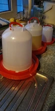 Cups Chick Automatic Farming-Tools Drinker Drinking-Fountain Poultry-Feeders Water-Bucket