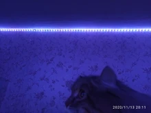 Bluetooth Led Strip Light RGB 5M LED Light Tape DC12V SMD 5050 Waterproof LED Light 10M