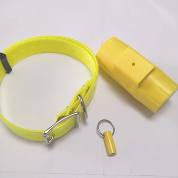 

The new second-generation dog training device snoring electronic hunting dog device D300 300g34e