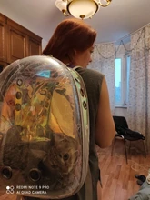 Mochila transparente para transporte de mascotas de gatos y perros, mochila para gatos, mochila para viajes al aire libre, bolsa para mascotas, transpirable, portátil, envío gratuito