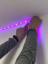 Lámpara de luz de fondo con Bluetooth y WIFI para decoración del dormitorio, controlador Flexible RGB 5050, cadena luminosa, tiras de luz LED