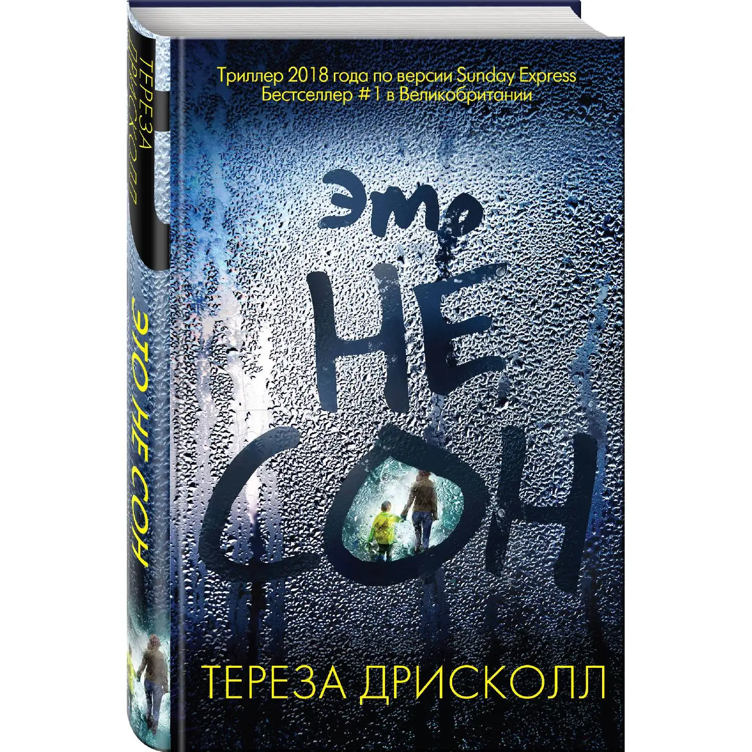 Это не сон. Тереза Дрисколл (Мчась в поезде за много миль от дома, Софи получает по телефону ужасающее известие. Два мал