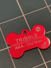 Etiqueta de identificación de mascota personalizada, placa con nombre de perro y gato, número de dirección, Collar de aluminio, accesorios de grabado gratis, etiquetas de identificación para Collar, 38mm