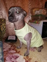 Flamingo patrón suave ropa para mascotas ropa de perro ropa zapatos y accesorios zapatos y ropa de perro chaleco camisa productos para mascotas verano gato chaleco camiseta