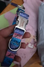 Dog-Collar Engraved Puppy-Name Floral Pet Personalized Airuidog Free Small Large Medium