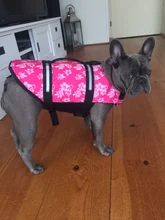 Chaleco Salvavidas para perro, chaqueta Salvavidas para mascota, ropa de seguridad, traje de baño para mascotas, Chaleco de seguridad para verano