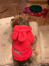 Ropa de Gato caliente para mascotas, abrigo, chaqueta para perros pequeños, medianos, gatos, Chihuahua, ropa de Yorkshire, disfraz rosa, S-2XL