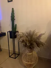 Pampas-Grass Reed Flower Wedding-Decoration Bunch Light-Color Natural Dried Christmas