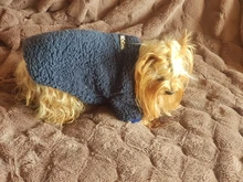 Ropa para perros de lana y Chihuahua, Ropa de invierno para mascotas pequeñas y medianas