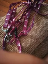 Paw Print Small Dog Harness and Leash Soft Nylon Pet Walking Harness Vest For Chihuahua