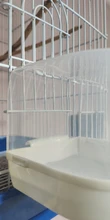 Caja de plástico para baño de aves, jaula colgante para baño de pájaros, loros, Baño de aves de bañera, bañera de agua para pájaros, cuenco para mascotas, 1 unidad