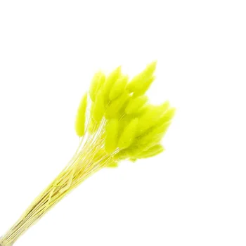 

75214 laguurus color 60 heads green apple