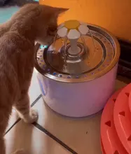 Drink-Bowl Electric-Dispenser Water-Fountain Active Cat Automatic CARBON-FILTER Dog Usb-Powered
