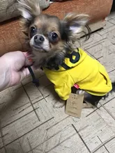 Dog Hoodies Jacket Costume Coat French Bulldog Chihuahua Winter for Pets-Clothing