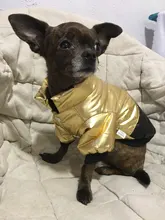 Coat Puppy Clothing Jacket Puppy-French-Bulldog Dogs Waterproof Chihuahua Winter Vest