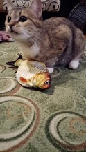 Fish-Toys Simulation Biting-Supplies Electric Playing Dog-Cat-Chewing 30CM for Pet-Cat-Toy