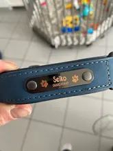 Collar de cuero personalizado para Perro, etiquetas identificativas para perros pequeños, medianos y grandes, Pitbull, Bulldog, Beagle