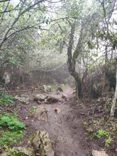 Crampones tacos de tracción 19 picos empuñaduras antideslizantes de acero inoxidable botas para la nieve, caminar, escalada, pesca, senderismo, Invierno