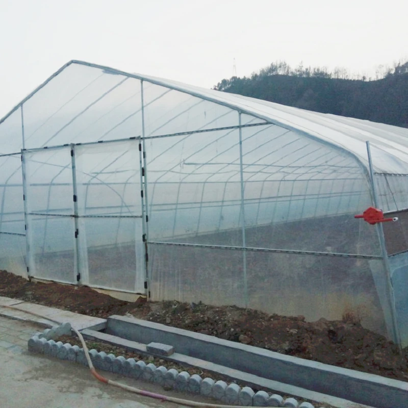 6&times;10m Agricultural Greenhouses