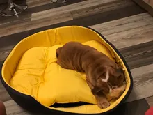 3D Washable Kennel Pet Bed For Dogs Cat House Dog Beds For Large Dogs Pets Products For