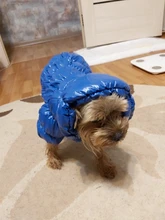 Ropa de abrigo para Perros Bulldog Francés, Ropa de cachorro, Chihuahua, yorkie, abrigo de perrito mascota, chaqueta, perros, mascotas