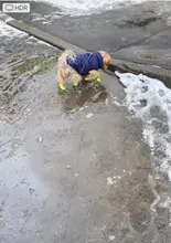 Zapatos antideslizantes para mascota de perro de lluvia, botas de goma impermeables para chihuahua, calzado para exteriores, calcetines para perro