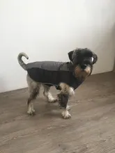 Jacket Raincoats Puppy-Clothing Dogs Waterproof Outdoor Vest Pet-Dog Reflective Small