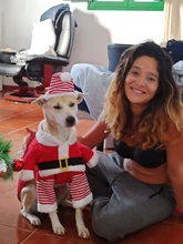 Costume Cat Jacket Christmas Dogs Small Santa-Claus Winter Large for Funny Dog-Coat Warm