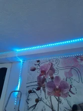 RGB Tape Diode Led-Light-Strip Decoration Neon Ribbon Flexible Waterproof 15M 10M RGBWW