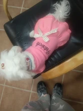 Coat Dress Teddy Poodle-Clothes Puppy Small-Pet Dog Winter Autumn with Letter Bowknot