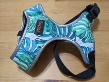 Arnés de Bulldog Francés transpirable para perros pequeños y medianos, chaleco para gatos, entrenamiento para caminar