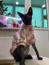 Cartoon Cat Hoodie Sweater Autumn Winter Pet Cat Clothes for Cats Katten Kedi Pullovers