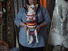 Gato bolsa frente mochila portador de chihuahua de perro de peluche mochila perros pequeños de mascotas productos para mascotas perros chien