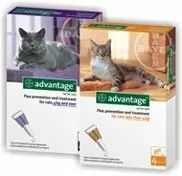 

ADVANTAGE FOR CATS