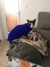 MPK-suéter SWA para gatos y perros pequeños, ropa para gatos, 12 opciones de colores + 6 tamaños para cada Color Da